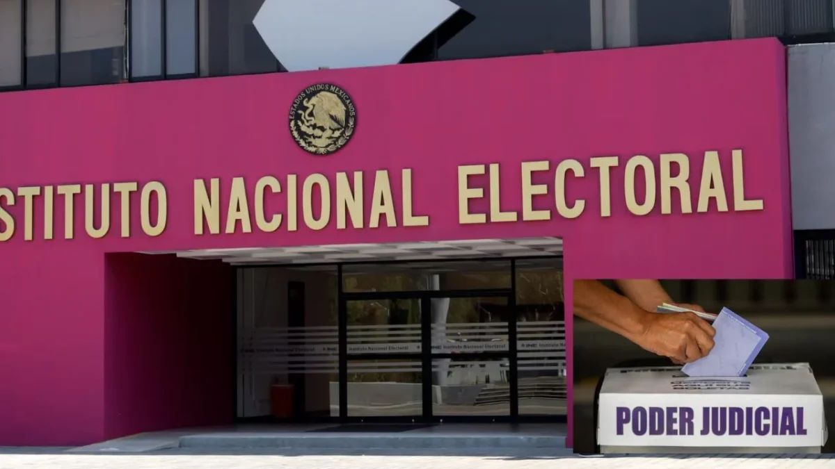 INE carece de evidencias para bajar candidaturas judiciales