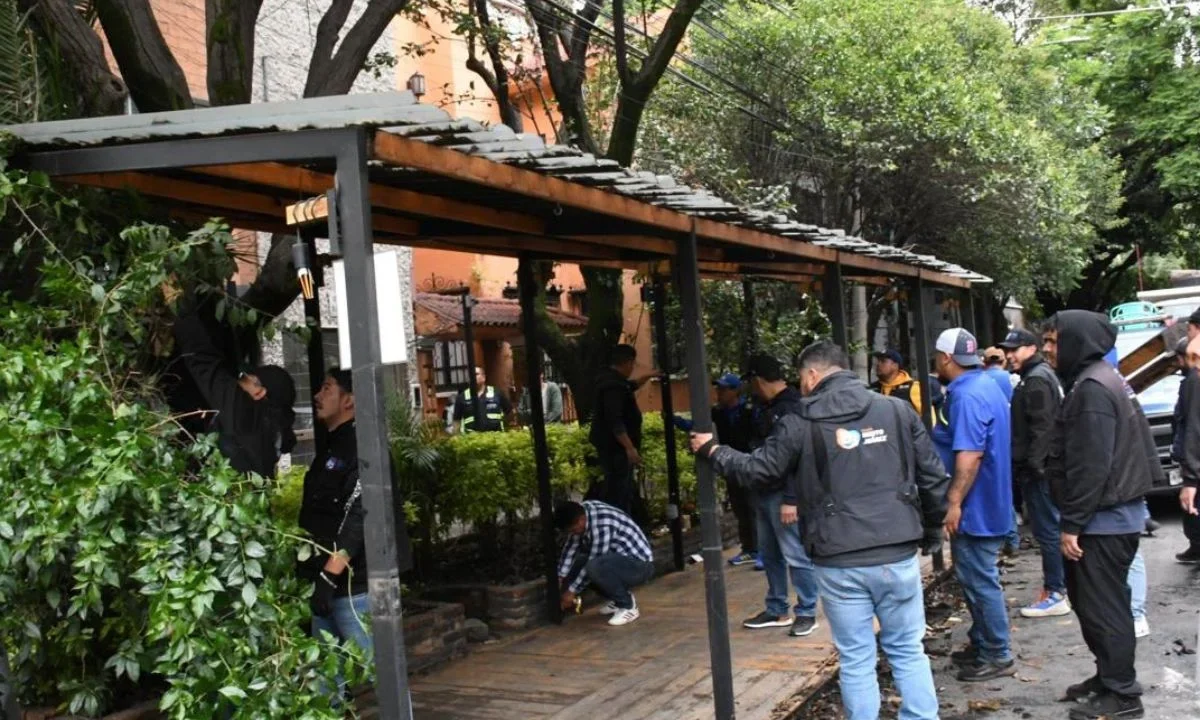 Continúa la recuperación del espacio público; en la colonia Nápoles retiran pérgolas y enseres de 42 comercios.