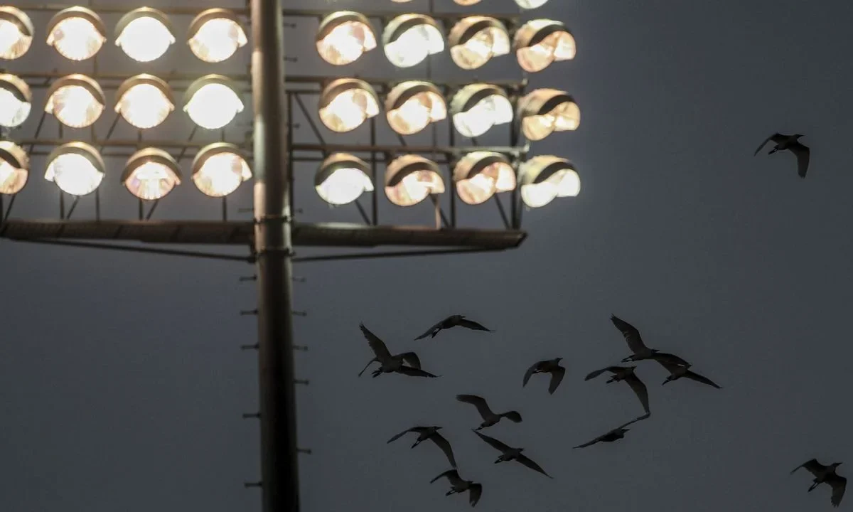 Sector energético destaca 5 acciones para consumo responsable de luz