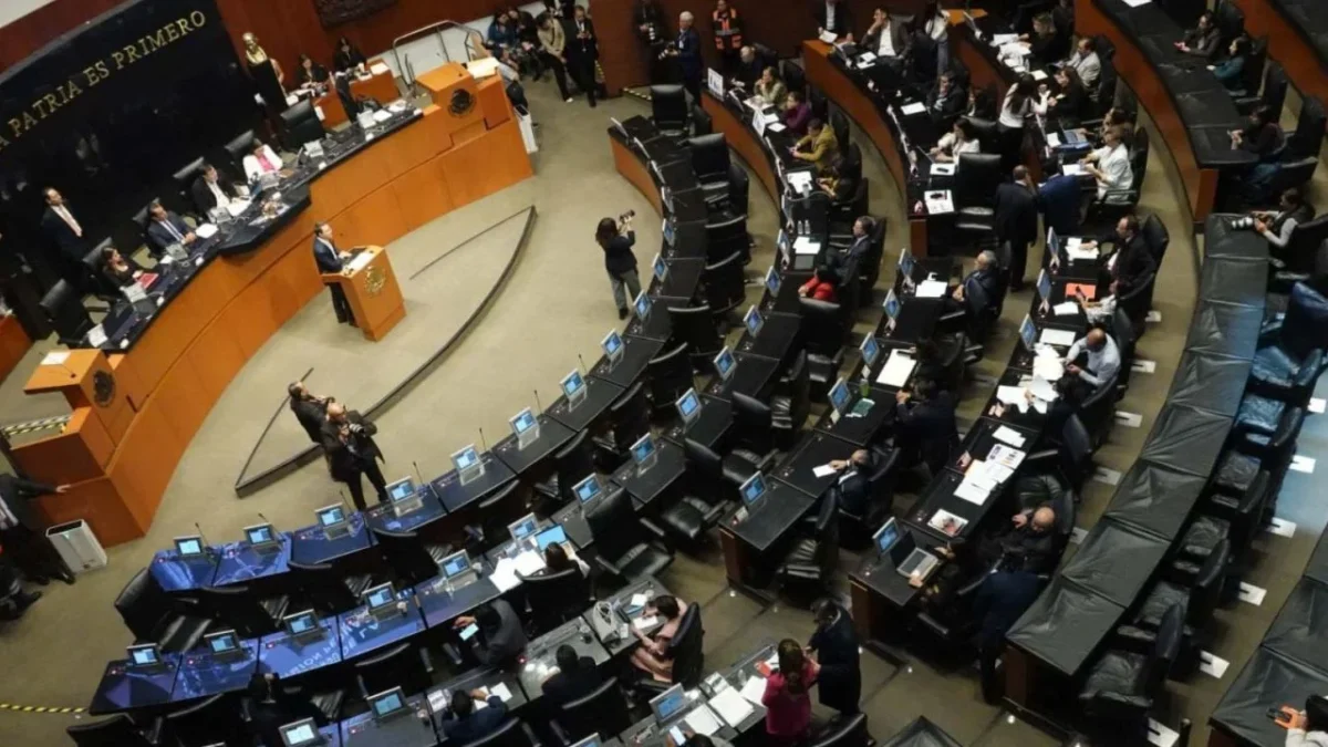 Senado discute creación de CURP biométrica para terminar corrupción en trámites