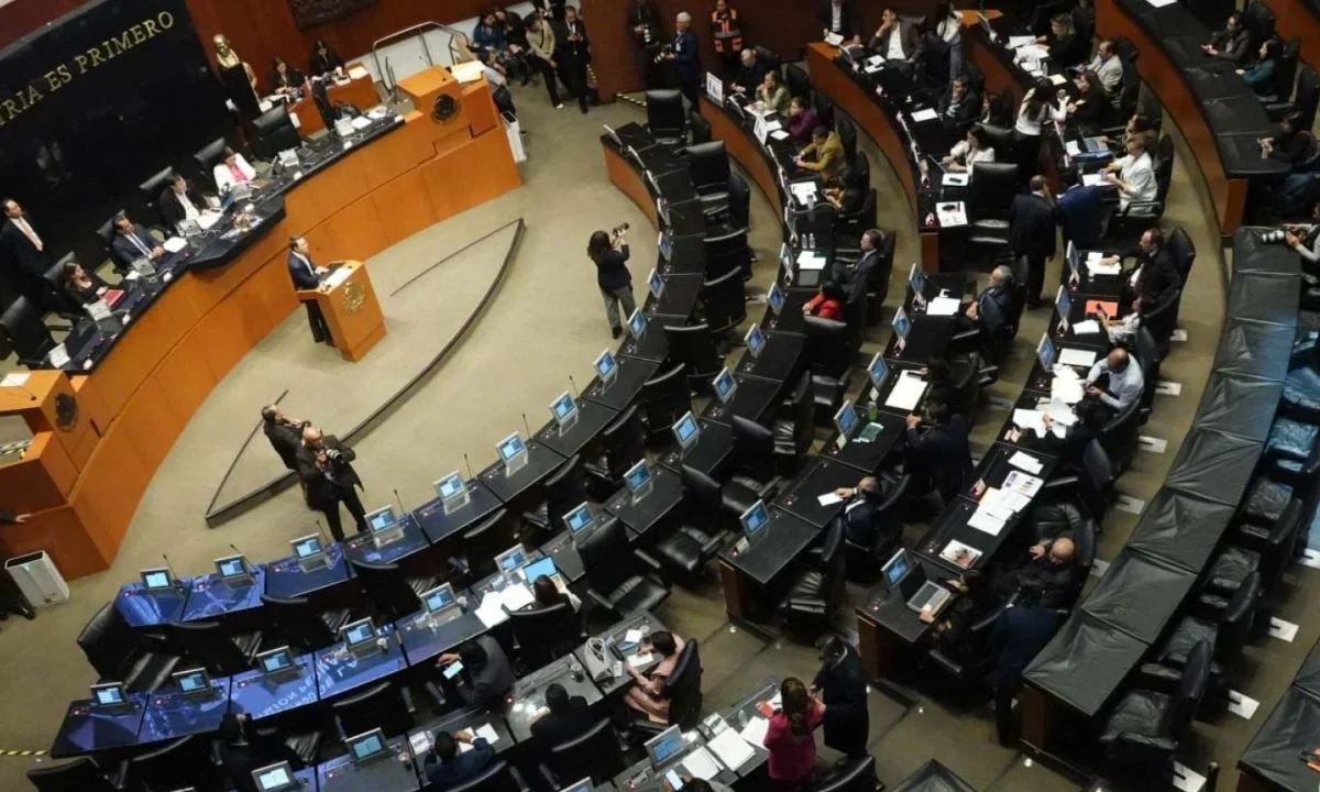 Senado discute creación de CURP biométrica para terminar corrupción en trámites