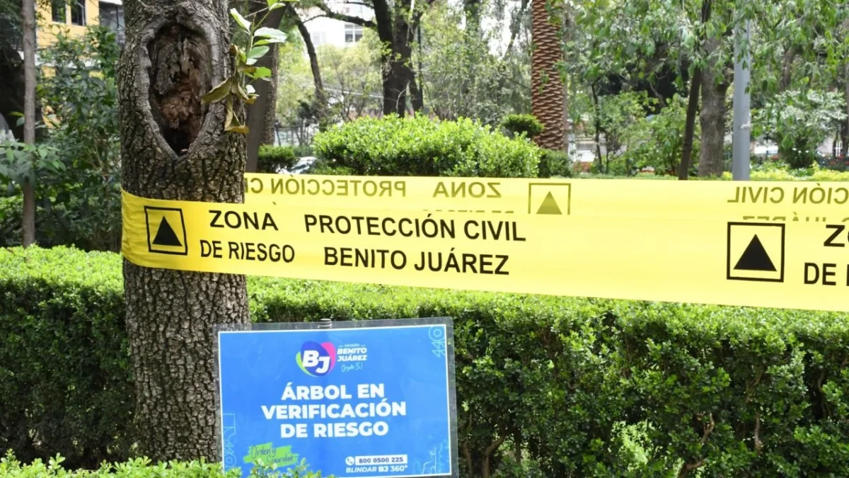 Personal de Servicios Urbanos recorrerá los otros 23 parques de la demarcación para continuar con la verificación del árboles en la Benito Juárez