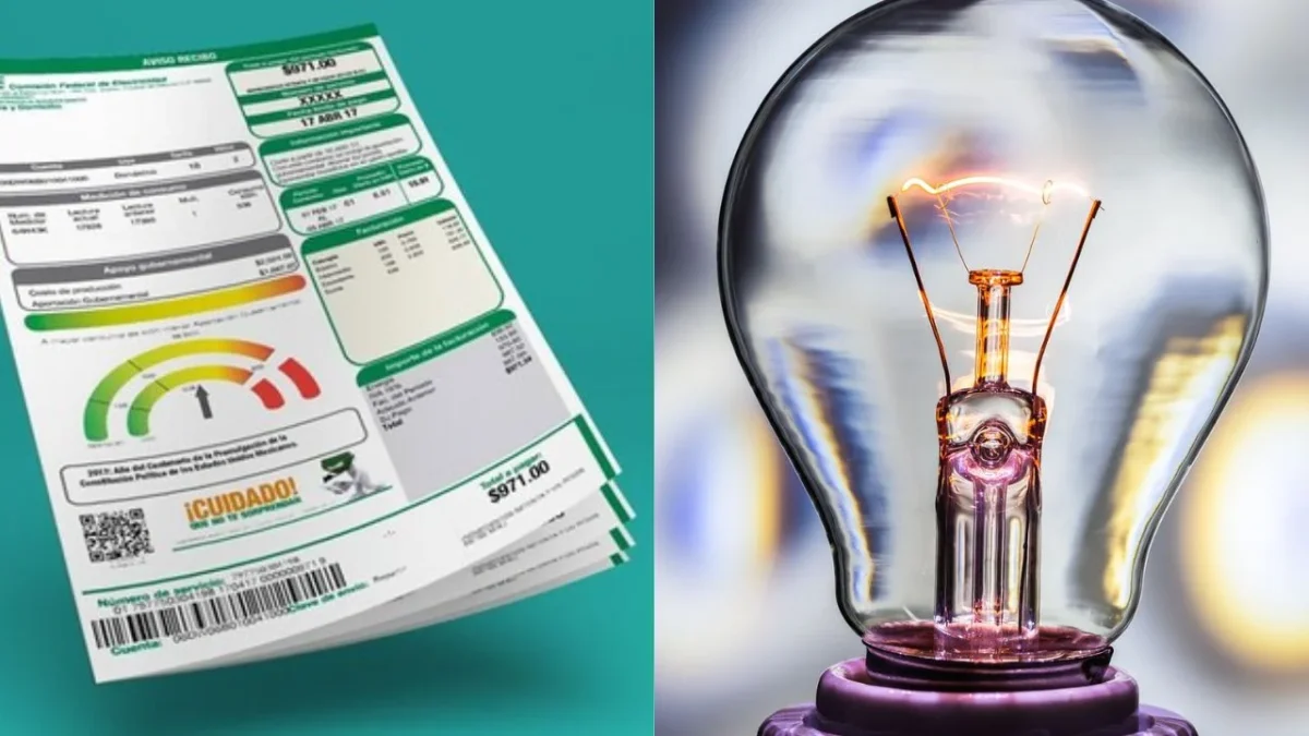 ¿Tu recibo de luz te llega carísimo? Checa estas recomendaciones de la Profeco para reducir el gasto del consumo de energía eléctrica en tu hogar.