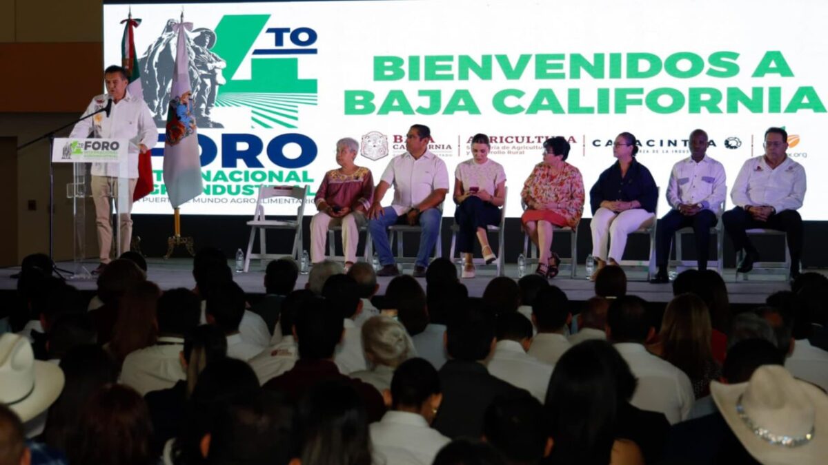 México debe abrir nuevos mercados internacionales para la agroindustria debido a la realidad geopolítica mundial