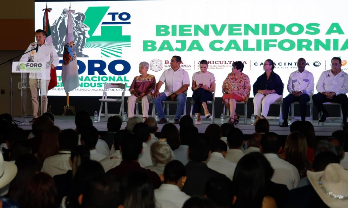 México debe abrir nuevos mercados internacionales para la agroindustria debido a la realidad geopolítica mundial
