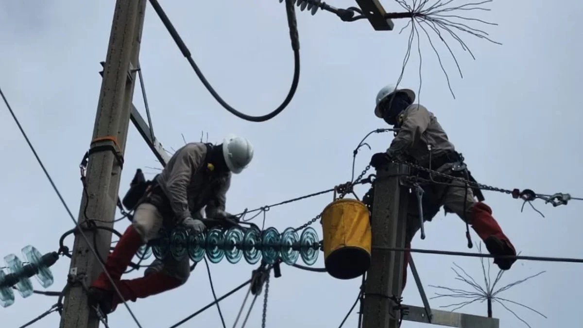 CFE restablece electricidad al 78.1% tras paso del huracán Erick