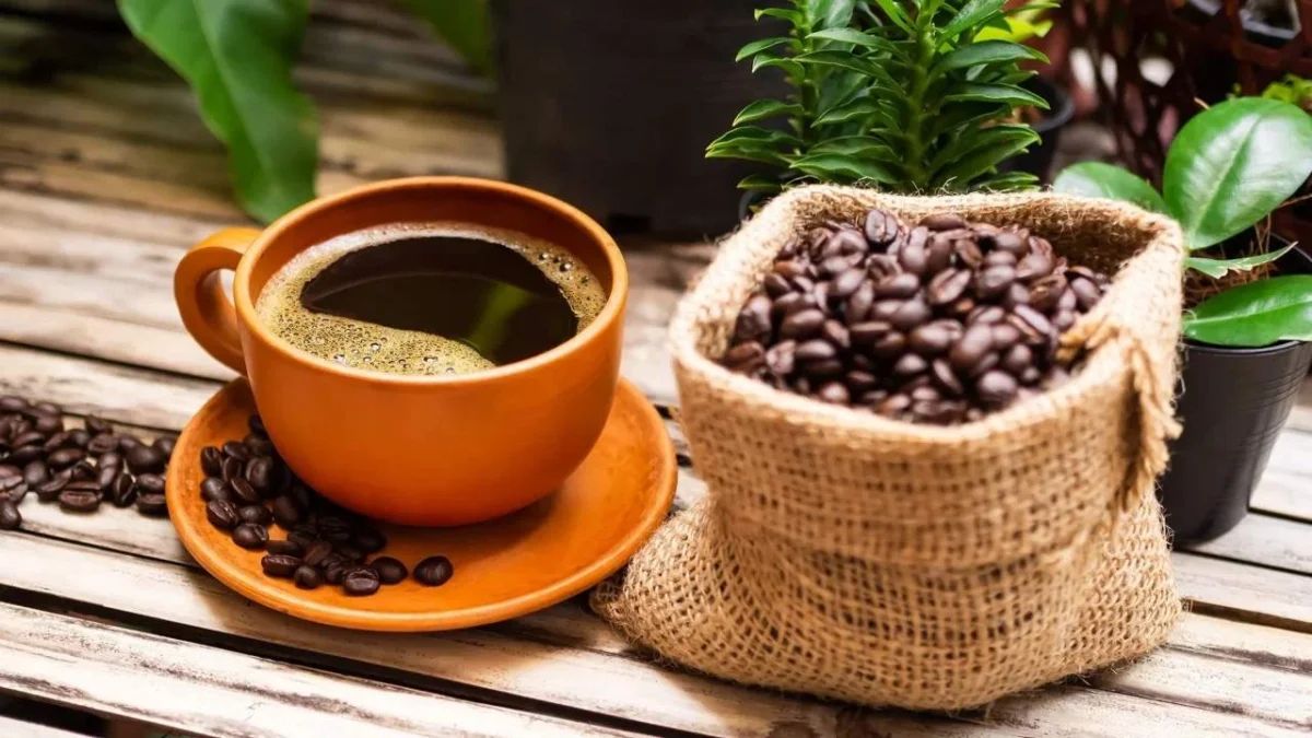 Estos son los mejores 5 cafés descafeinados de acuerdo a Profeco