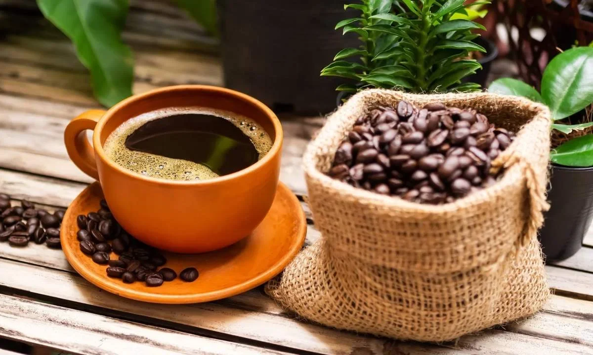 Estos son los mejores 5 cafés descafeinados de acuerdo a Profeco