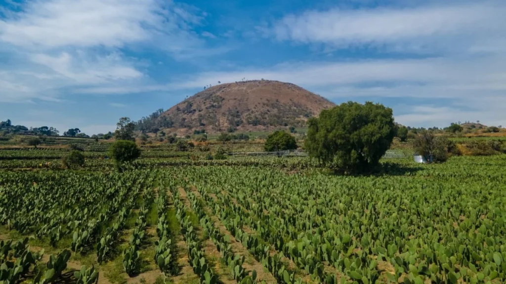 Declaran terrazas agrícolas Patrimonio Biocultural de la CDMX. Noticias en tiempo real