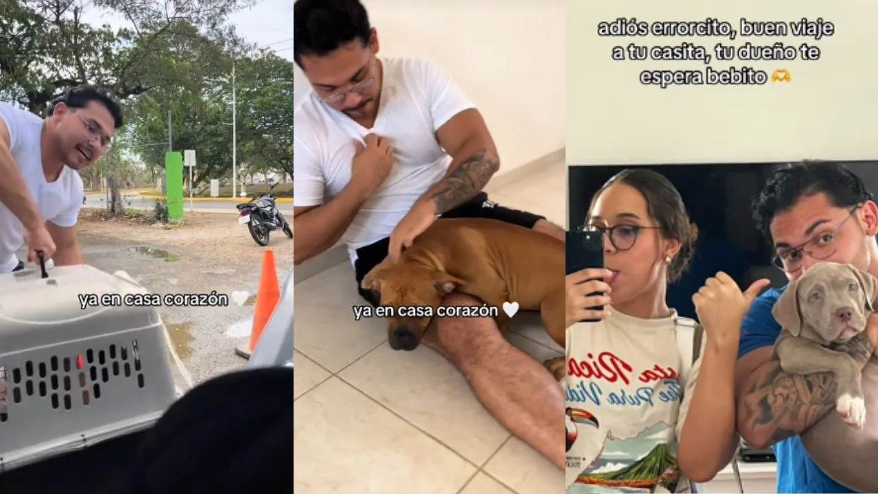 Foto: Captura de pantalla