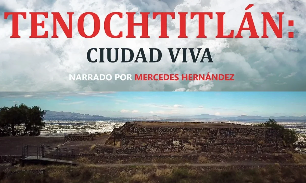 La serie es una iniciativa de la Sociedad Mexicana de Geografía y Estadística.