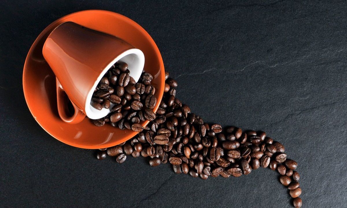 Descubre cuál es el café mejor calificado por Profeco en su último estudio y lo mejor de todo, puedes encontrarlo en el supermercado.