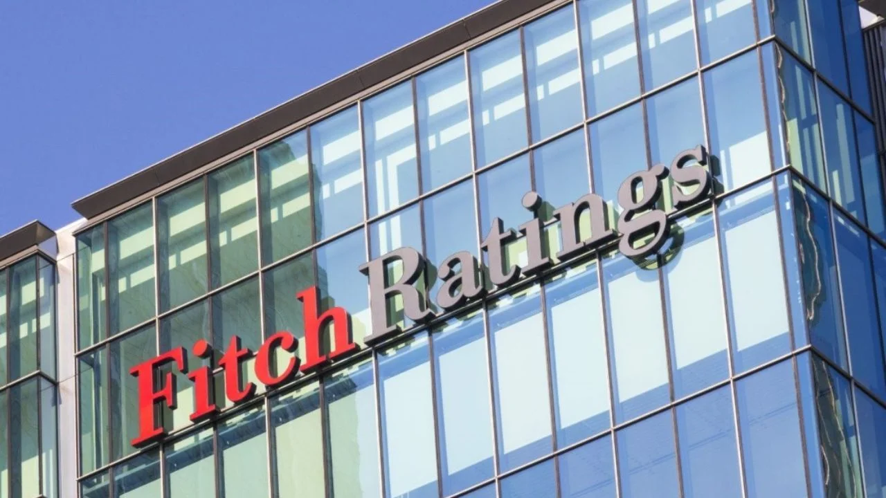 aspectos de la calificadora Fitch