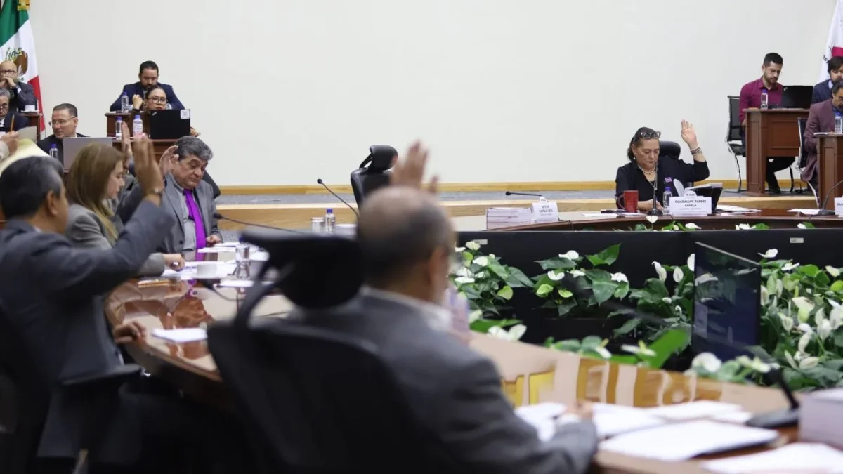 El INE aprobó que se anulen 37 triunfos de candidatos a magistrados de circuito.