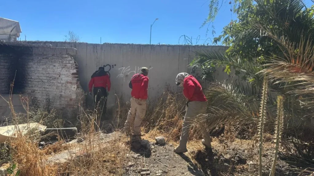 Levantan a padre buscador en Irapuato; van 2 este año. Noticias en tiempo real