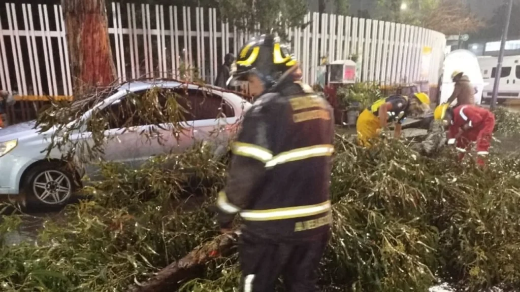 Lluvias en CDMX provocan caída de árboles y encharcamientos.