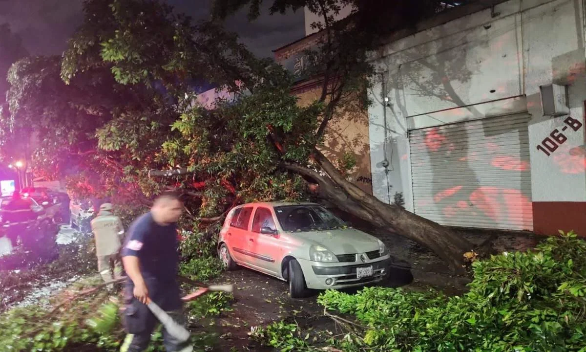 Lluvias dejó al menos 9 árboles caídos en la Cuauhtémoc