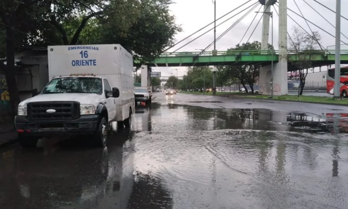 Seguiagua reporta 54 encharcamientos y 34 árboles caídos este domingo