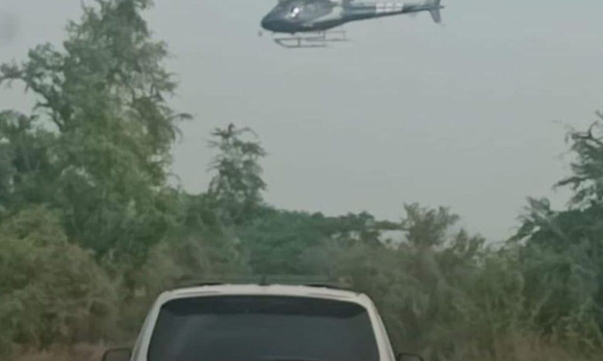 Un narcocampamento presuntamente ligado a un grupo criminal fue localizado y desmantelado por la Guardia Civil Estatal en el municipio de Tamasopo, en la región Huasteca de San Luis Potosí.