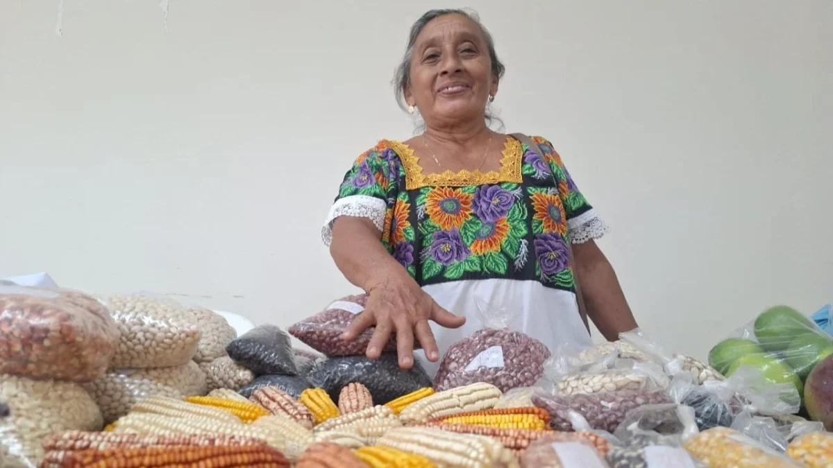 María siembra no sólo maíz, sino resistencia cultural.