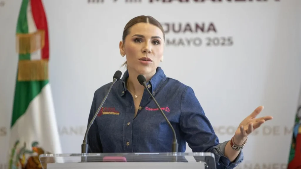 Marina del Pilar asegura que cualquier vinculo con crimen organizado es falso. Noticias en tiempo real
