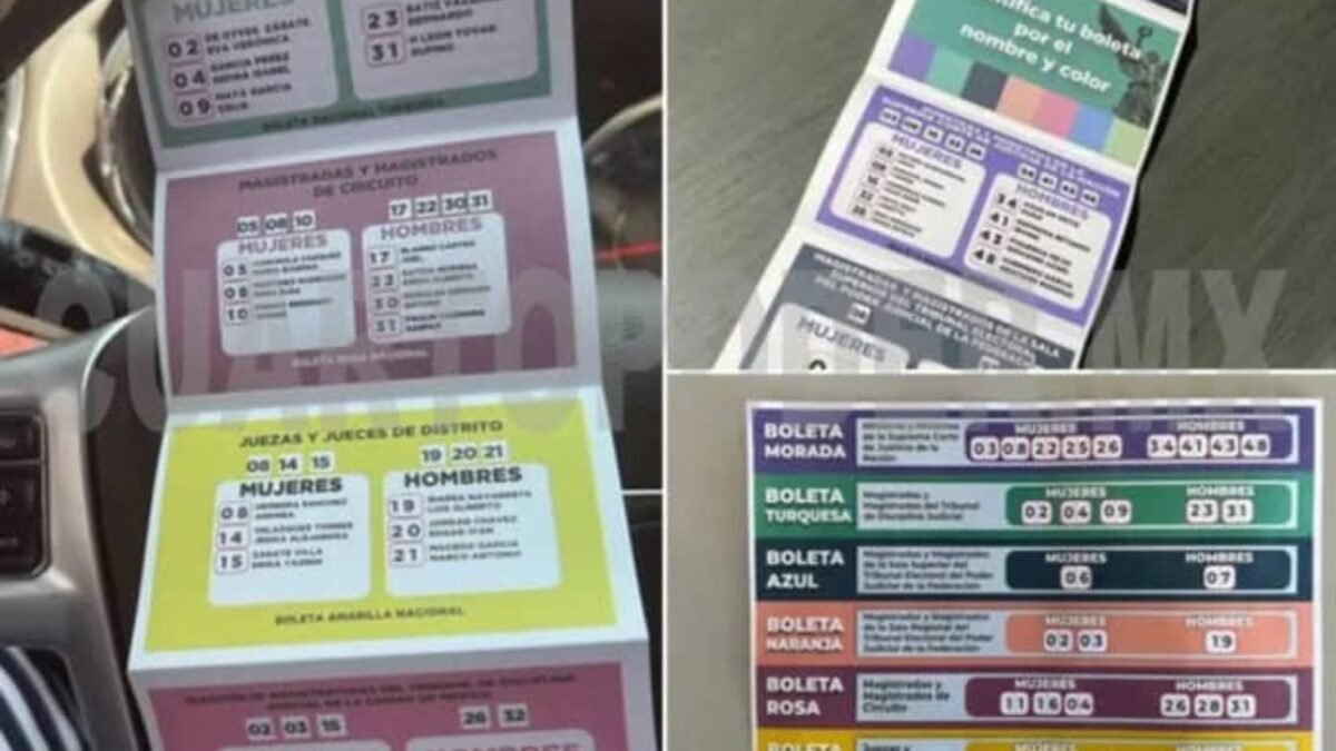 Brigada Antimapache ofrece recompensa por acordeones