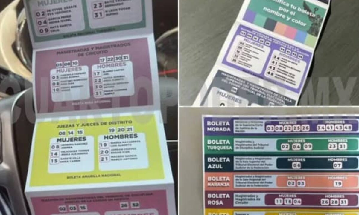 Brigada Antimapache ofrece recompensa por acordeones