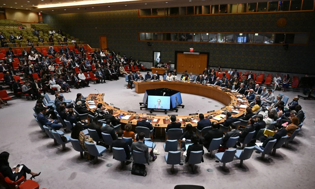 Consejo de Seguridad de la ONU, Organismo Internacional de Energía Atómica (OIEA)