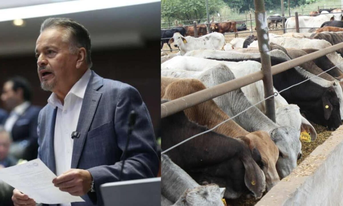 El PAN propone un blindaje en el país contra el gusano barrenador.