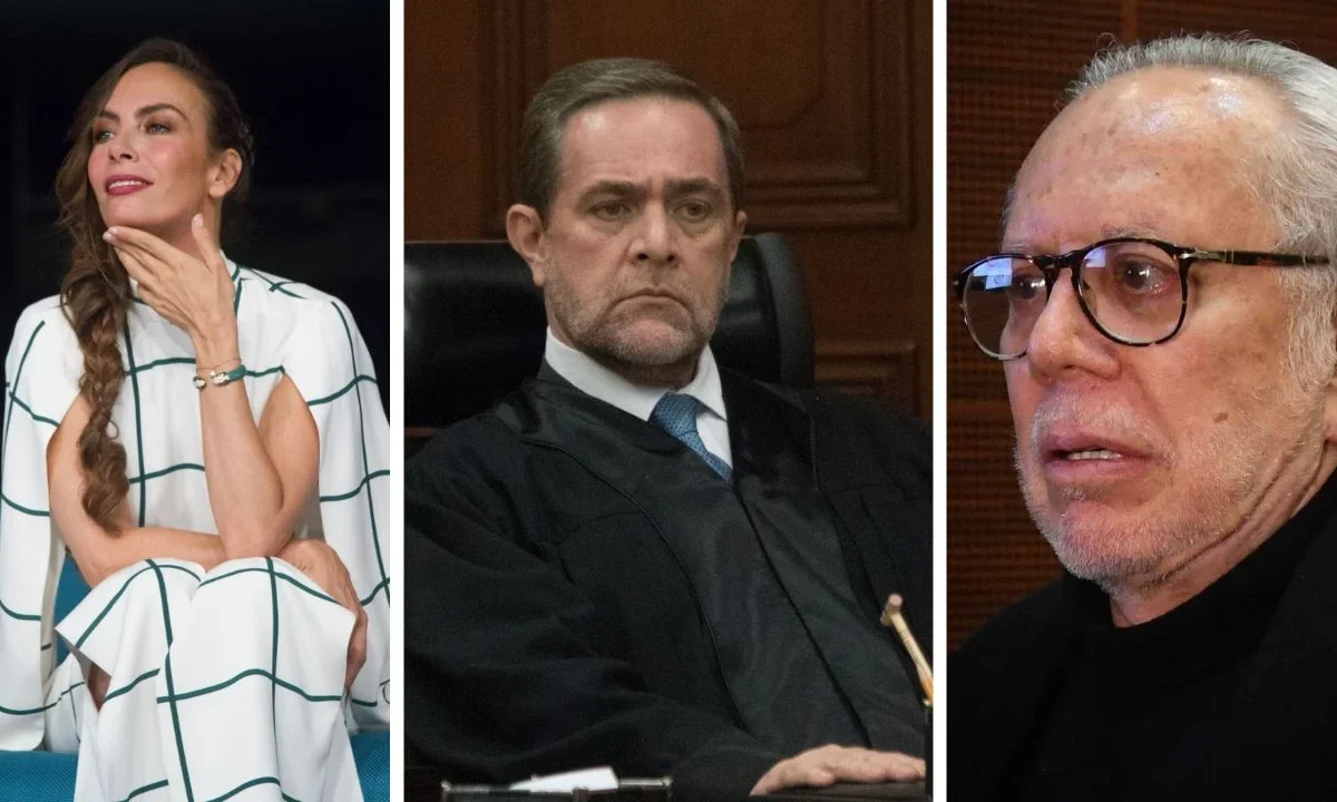 El ministro Pardo Rebolledo elaboró el proyecto para confirmar condena contra Luis de Llano por abuso a Sasha Sokol.