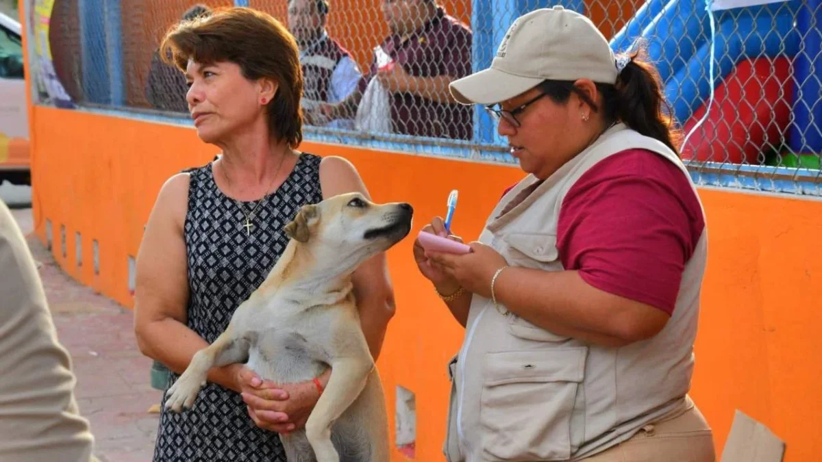 En Campeche se continúa avanzando en la cobertura de vacunación antirrábica.