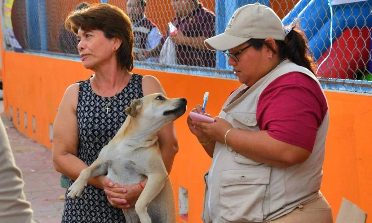 En Campeche se continúa avanzando en la cobertura de vacunación antirrábica.