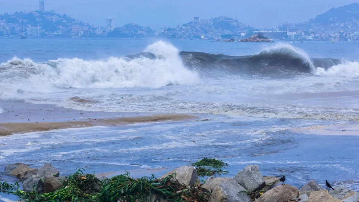 En la limpieza de playas, participan 2 mil 500 elementos navales, además de voluntarios.