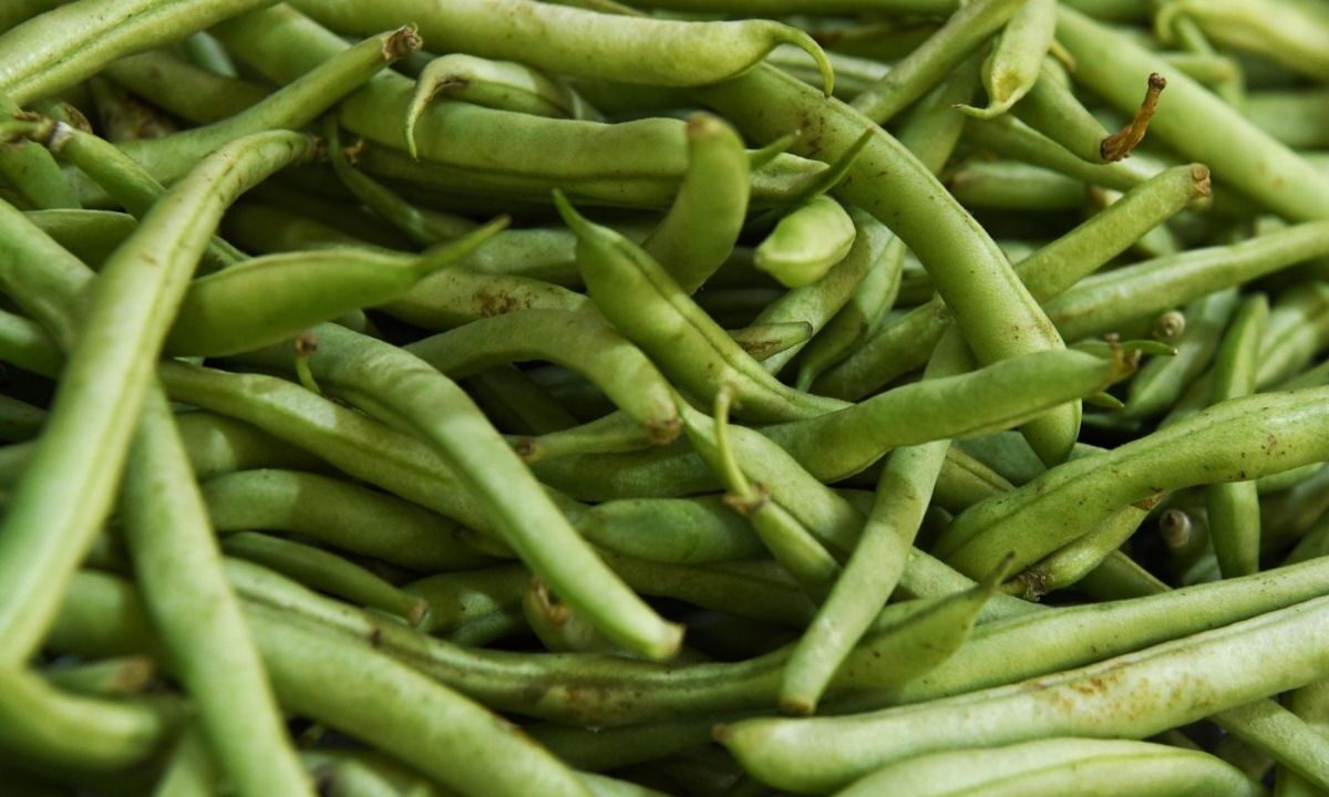 Profeco destacó que el kilo de ejote verde se vendió desde $30 en Guadalajara, Edomex y CDMX; $33 en León, y $35 en Aguascalientes, Tuxtla y Chiapas.