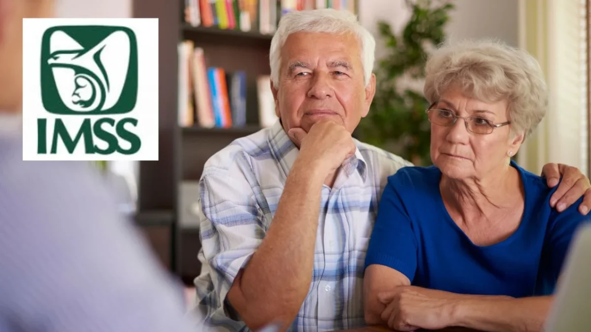 Si perteneces al régimen de la Ley 97 del IMSS, descubre a que tipos de pensión puedes acceder al momento de tu retiro y asegura tu futuro.
