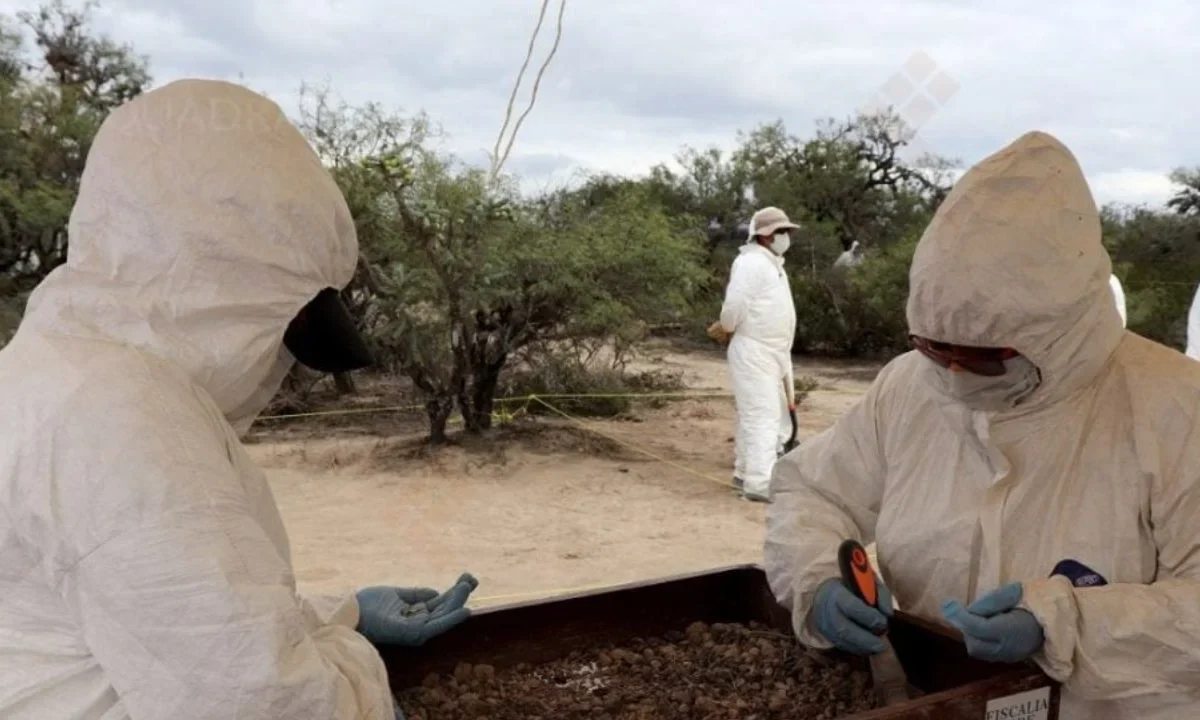 La Fiscal General de San Luis Potosí, Manuela Cázares, confirmó el envío de aproximadamente 200 restos óseos a un laboratorio forense en Alemania, en colaboración con el Programa de Identificación Humana (IDH) del Fondo de Población de las Naciones Unidas (UNFPA) en México.