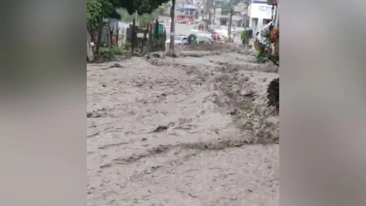 La tromba de este jueves provocó inundaciones, árboles caídos y arrastró coches diversas zonas de Chilpancingo.