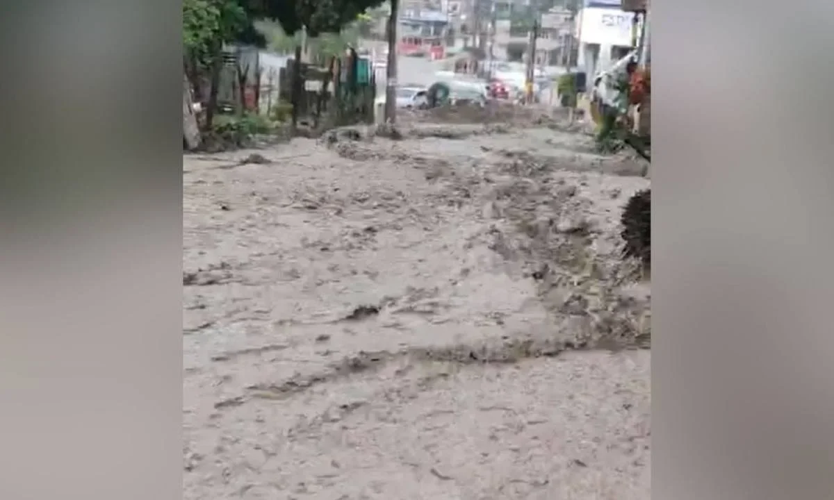 La tromba de este jueves provocó inundaciones, árboles caídos y arrastró coches diversas zonas de Chilpancingo.