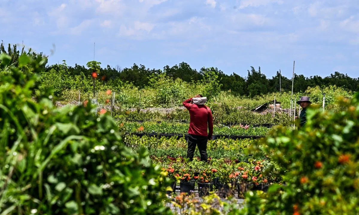 Agricultores y hoteleros exigen retener trabajadores extranjeros, lo que obliga al magnate a considerar permisos