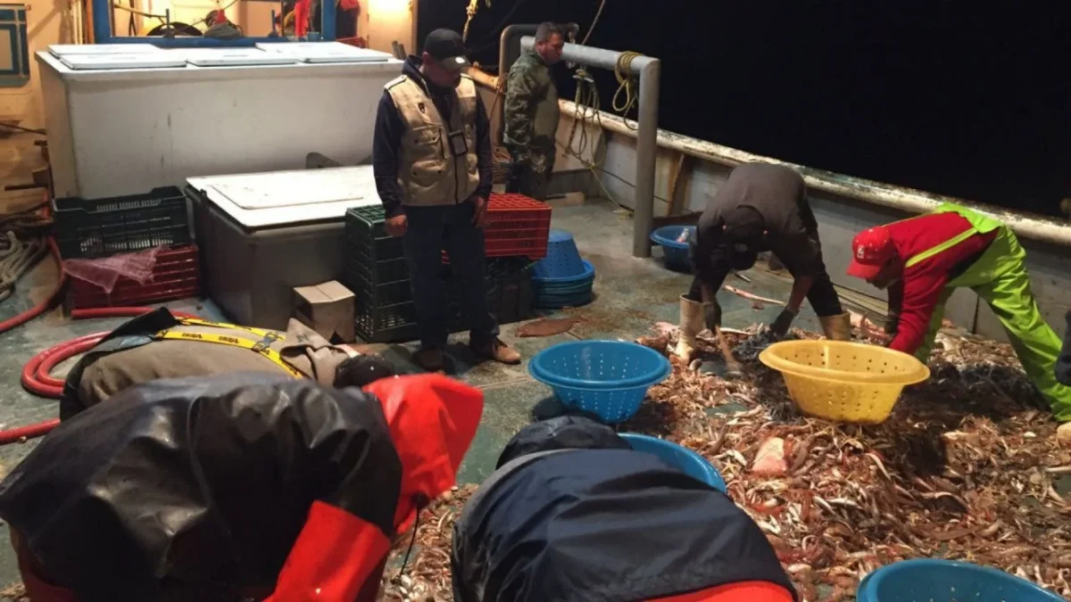 En el Senado discuten prohibición de mamíferos marinos en espectáculos y exportación de totoaba en cautiverio.