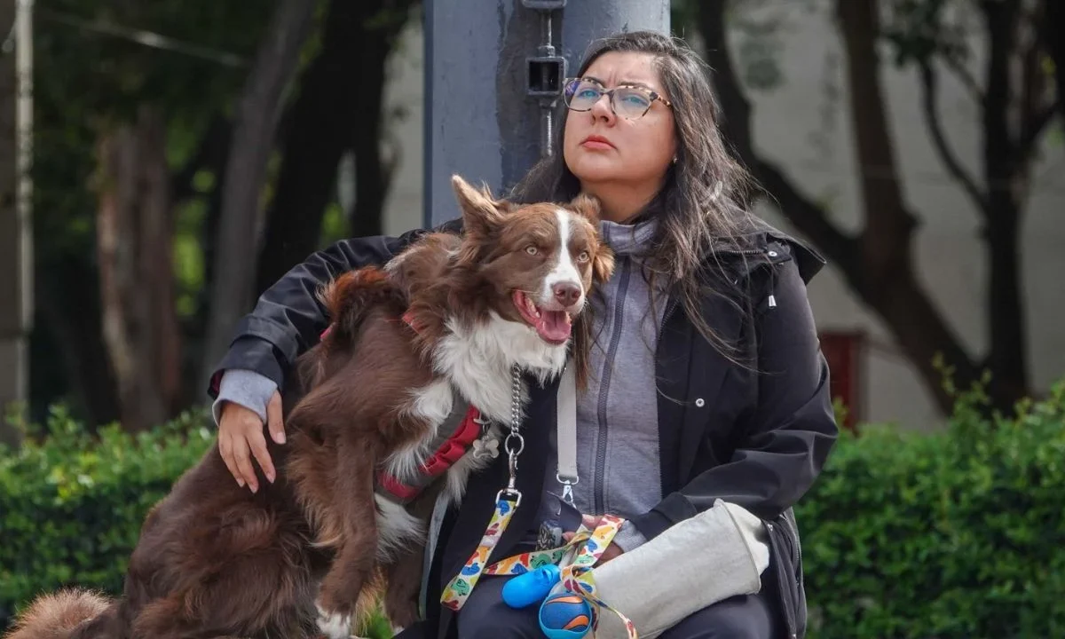 Alcaldía Iztapalapa y Comisión de Bienestar Animal del Congreso firman acuerdo de colaboración