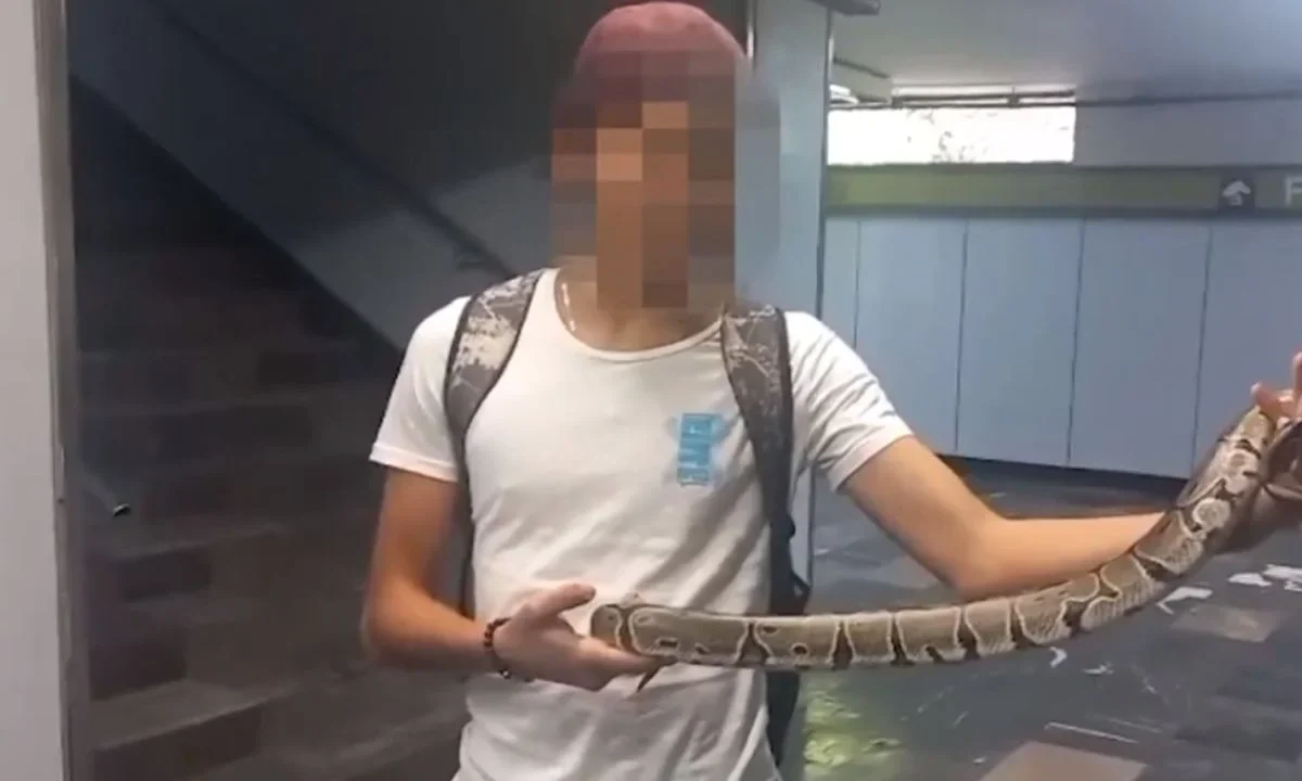 Detienen a menor de edad por pasear con su mascota, una serpiente, en el Metro