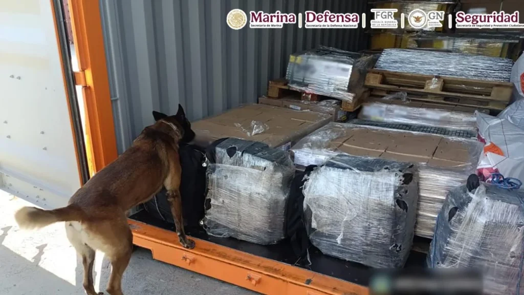 El valor de mercado de la cocaína encontrada en maletas asciende a los 48 millones de pesos