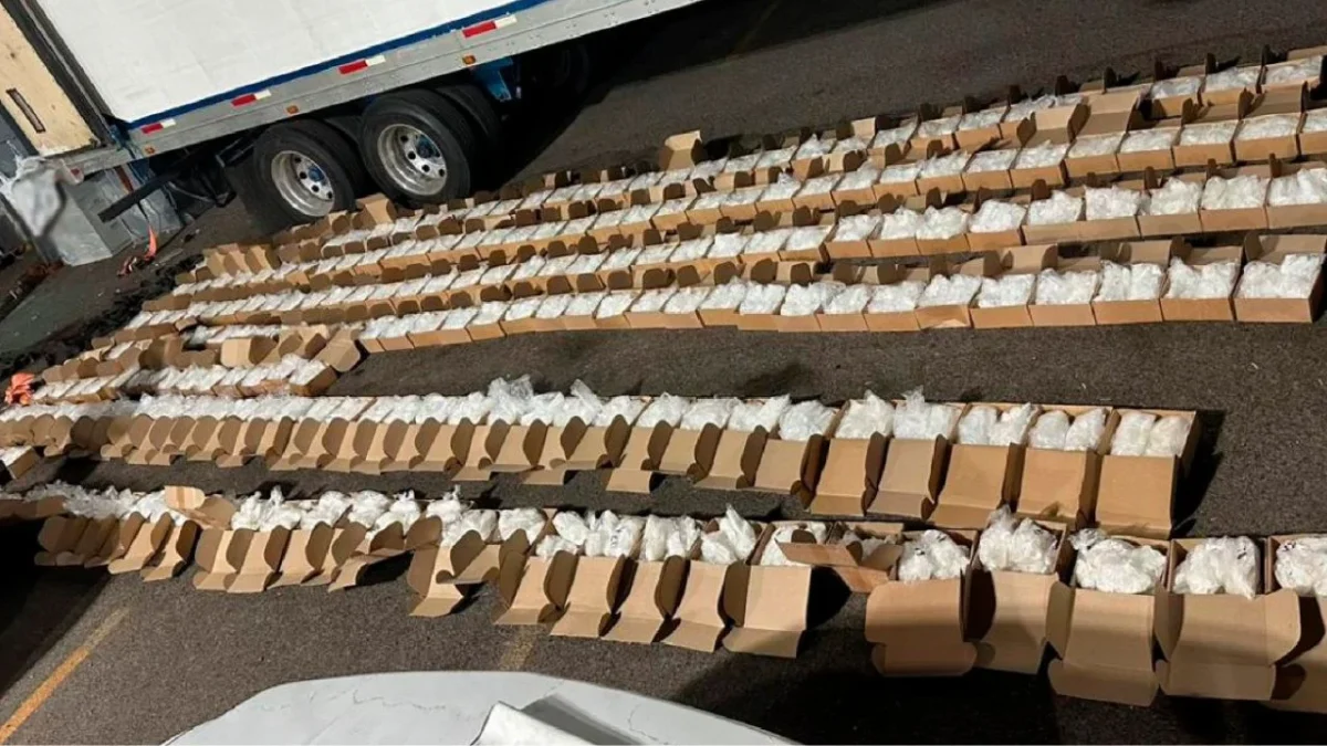 Encuentran ocultas en un tráiler 575 cajas de cartón color café que contenían mil 100 kilos de metanfetamina