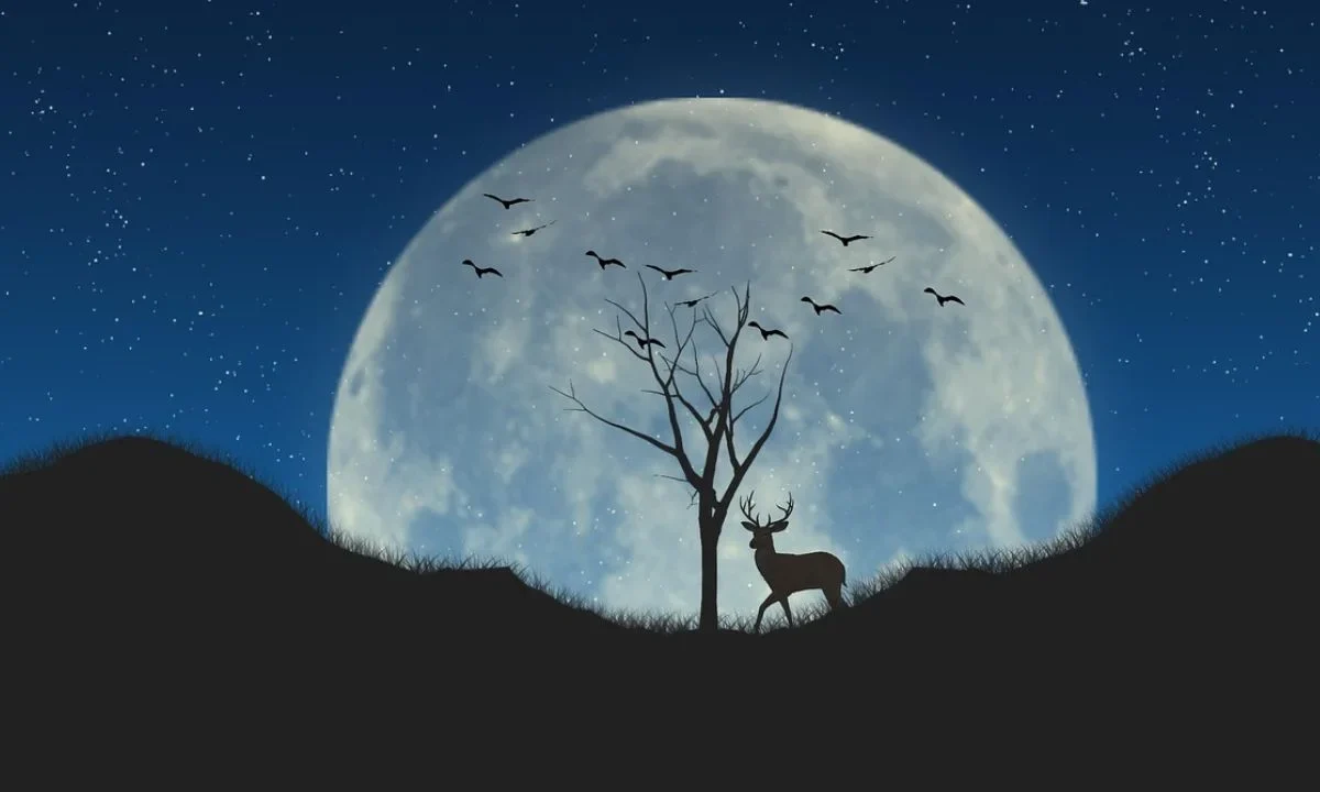 La "Luna de Ciervo" iluminará el cielo mexicano