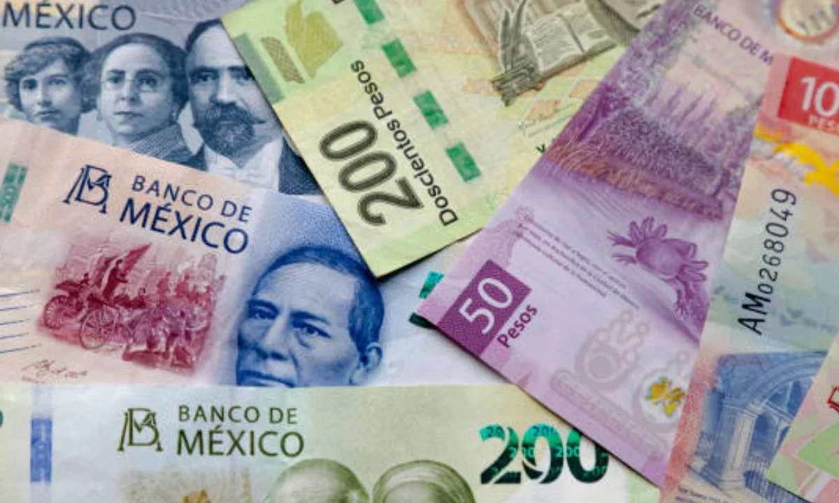 El salario mínimo establece un ingreso base legal por el trabajo desempeñado.