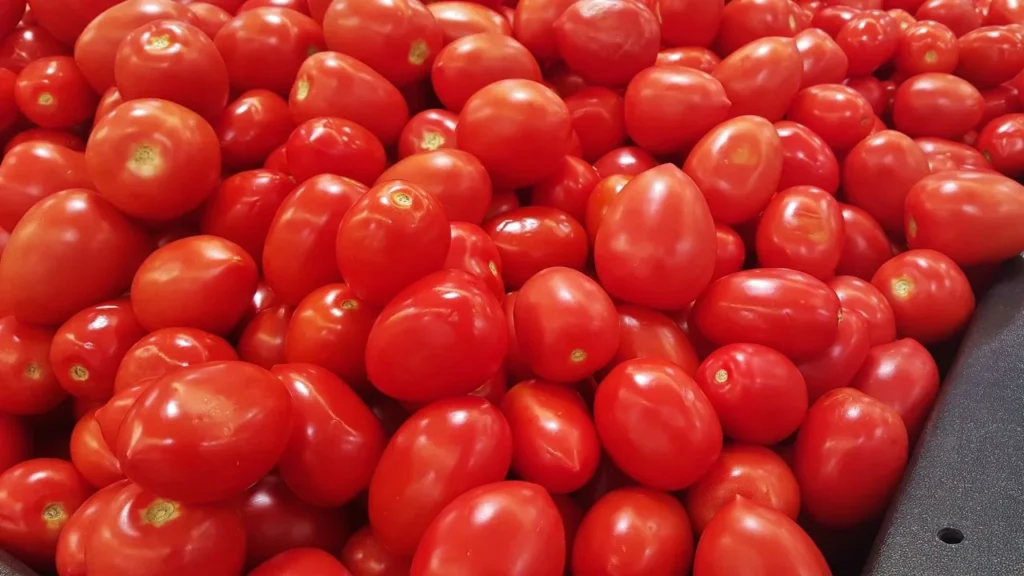 El Departamento de Comercio de EU emitió una orden de derechos antidumping de 17.09% de aranceles a la importación de tomate mexicano.