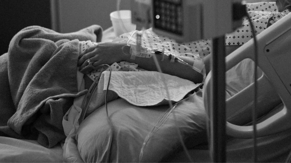 Muere persona en Arizona por peste bubónica.
