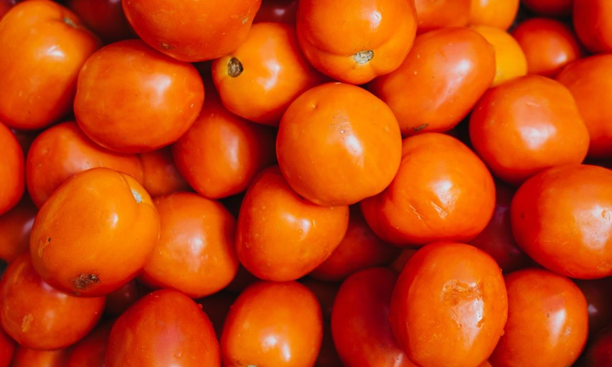 El Consejo Nacional Agropecuario (CNA) expresó su preocupación preocupación por la “decisión unilateral" de imponer aranceles al tomate.