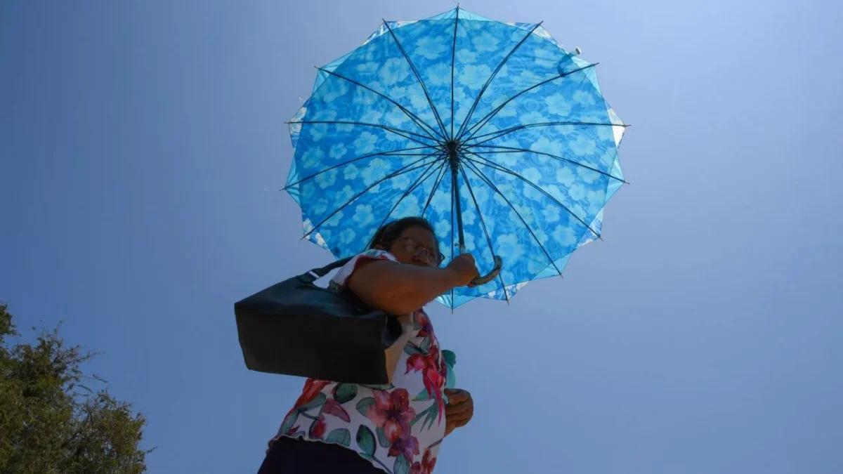 ¿Cómo debes cuidarte durante una ola de calor? Pues la Profeco da algunas recomendaciones.